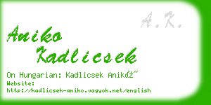 aniko kadlicsek business card